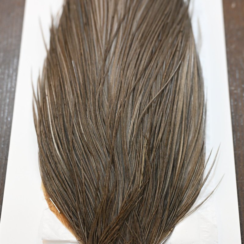 画像4: 【WHITING】Hebert ROOSTER CAPE PRO Grade - Medium Grey dun (4)