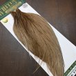 画像2: 【WHITING】Hebert ROOSTER CAPE PRO Grade - Medium Brown dun (2)