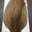 画像4: 【WHITING】Hebert ROOSTER CAPE PRO Grade - Medium Brown dun (4)