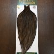 画像1: 【WHITING】Hebert ROOSTER CAPE PRO Grade - Dark Grey DUN (1)