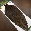画像2: 【WHITING】Hebert ROOSTER CAPE PRO Grade - Dark Grey DUN (2)
