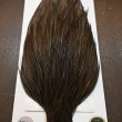 画像4: 【WHITING】Hebert ROOSTER CAPE PRO Grade - Dark Grey DUN (4)
