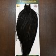 画像1: 【WHITING】Hebert ROOSTER CAPE PRO Grade - NA Black No.1 (1)