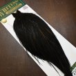 画像2: 【WHITING】Hebert ROOSTER CAPE PRO Grade - NA Black No.1 (2)