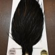 画像4: 【WHITING】Hebert ROOSTER CAPE PRO Grade - NA Black No.1 (4)