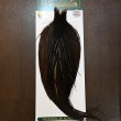 画像1: 【WHITING】Hebert ROOSTER CAPE PRO Grade - DARK BROWN DUN (1)