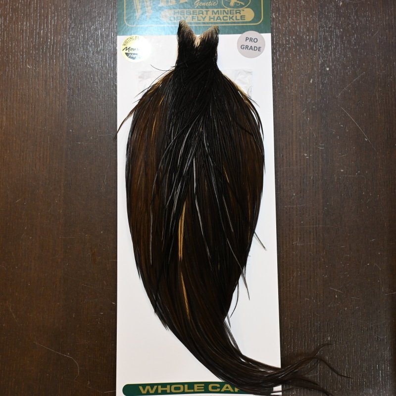 画像1: 【WHITING】Hebert ROOSTER CAPE PRO Grade - DARK BROWN DUN (1)