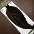 画像2: 【WHITING】Hebert ROOSTER CAPE PRO Grade - DARK BROWN DUN (2)