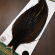 画像3: 【WHITING】Hebert ROOSTER CAPE PRO Grade - DARK BROWN DUN (3)