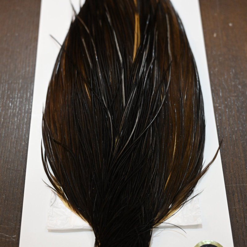 画像4: 【WHITING】Hebert ROOSTER CAPE PRO Grade - DARK BROWN DUN (4)