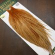 画像2: 【WHITING】Hebert ROOSTER CAPE Pro Grade - BARRED DARK Ginger No.1 (2)