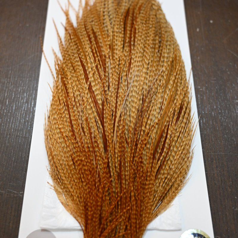 画像4: 【WHITING】Hebert ROOSTER CAPE Pro Grade - BARRED DARK Ginger No.1 (4)