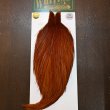 画像1: 【WHITING】Hebert ROOSTER CAPE PRO Grade - Medium Brown (1)