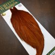 画像2: 【WHITING】Hebert ROOSTER CAPE PRO Grade - Medium Brown (2)