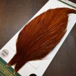 画像4: 【WHITING】Hebert ROOSTER CAPE PRO Grade - Medium Brown (4)