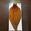 画像4: 【WHITING】Hebert ROOSTER CAPE PRO Grade - Rusty Natural Dun No.2 (4)