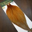 画像3: 【WHITING】Hebert ROOSTER CAPE PRO Grade - Rusty Natural Dun No.2 (3)