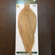 画像1: 【WHITING】Hebert ROOSTER CAPE PRO Grade - Light ginger No.1 (1)