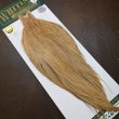 画像2: 【WHITING】Hebert ROOSTER CAPE PRO Grade - Light ginger No.1 (2)