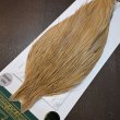 画像3: 【WHITING】Hebert ROOSTER CAPE PRO Grade - Light ginger No.1 (3)