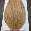 画像4: 【WHITING】Hebert ROOSTER CAPE PRO Grade - Light ginger No.1 (4)