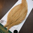 画像3: 【WHITING】Hebert ROOSTER CAPE PRO Grade - Light ginger No.2 (3)