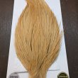 画像4: 【WHITING】Hebert ROOSTER CAPE PRO Grade - Light ginger No.2 (4)