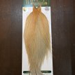 画像1: 【WHITING】Hebert ROOSTER CAPE PRO Grade - Light ginger dun (1)