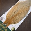 画像3: 【WHITING】Hebert ROOSTER CAPE PRO Grade - Light ginger dun (3)