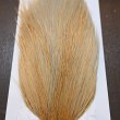画像4: 【WHITING】Hebert ROOSTER CAPE PRO Grade - Light ginger dun (4)