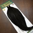 画像2: 【WHITING】Hebert Bronze Grade Cape NA Black No.2 (2)
