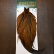 画像1: 【WHITING】Hebert ROOSTER CAPE Silver grade - Furnace (1)
