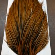 画像4: 【WHITING】Hebert ROOSTER CAPE Silver grade - Furnace (4)