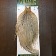 画像1: 【WHITING】Hebert ROOSTER CAPE Silver grade - Light ginger Dun (1)