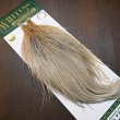 画像2: 【WHITING】Hebert ROOSTER CAPE Silver grade - Light ginger Dun (2)
