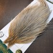 画像3: 【WHITING】Hebert ROOSTER CAPE Silver grade - Light ginger Dun (3)