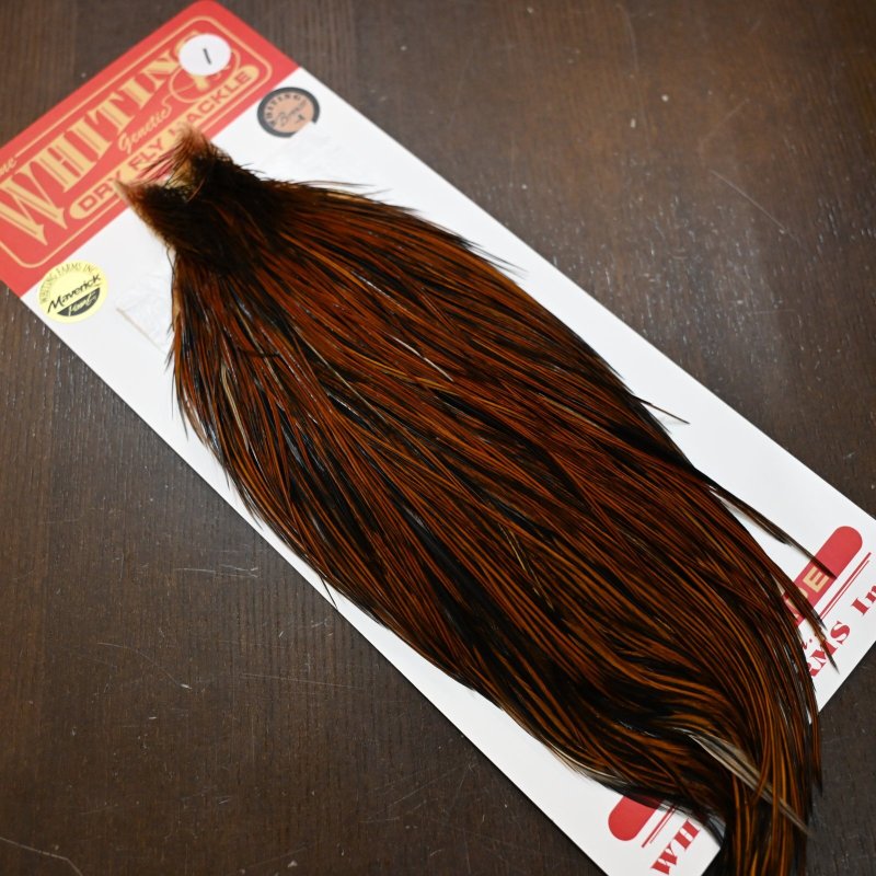 画像2: 【WHITING】ROOSTER Cape Bronze Grade - Furnace No.1 (2)