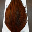 画像4: 【WHITING】ROOSTER Cape Bronze Grade - Furnace No.2 (4)