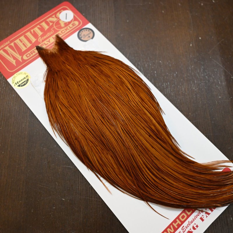 画像2: 【Whiting】ROOSTER CAPE Bronze Grade - DYED BROWN No.1 (2)
