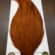 画像4: 【Whiting】ROOSTER CAPE Bronze Grade - DYED BROWN No.1 (4)