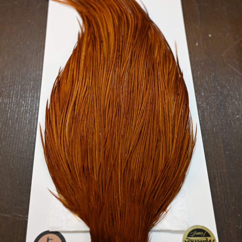 画像4: 【Whiting】ROOSTER CAPE Bronze Grade - DYED BROWN No.1 (4)