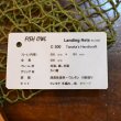 画像4: 【FISH-OWL】カーブ ネット C300 内径 30cm No.1333 (4)
