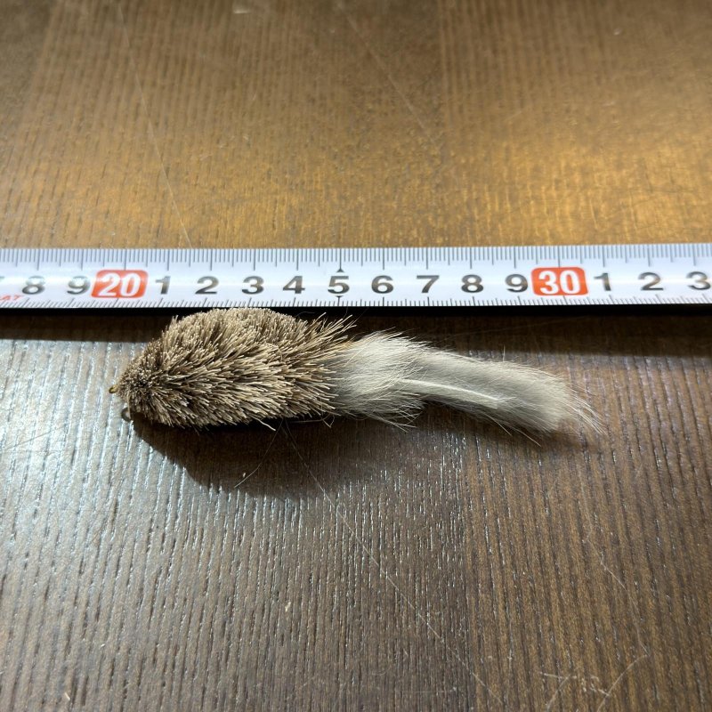 画像1: オリジナルフライ Tマウス (1)