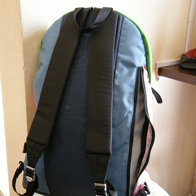 画像1: 【KELTY】Party Daypack 60th(限定品)