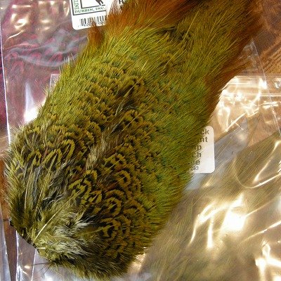 画像1: 【HARELINE】RingNeck Pheasant Rump Patch