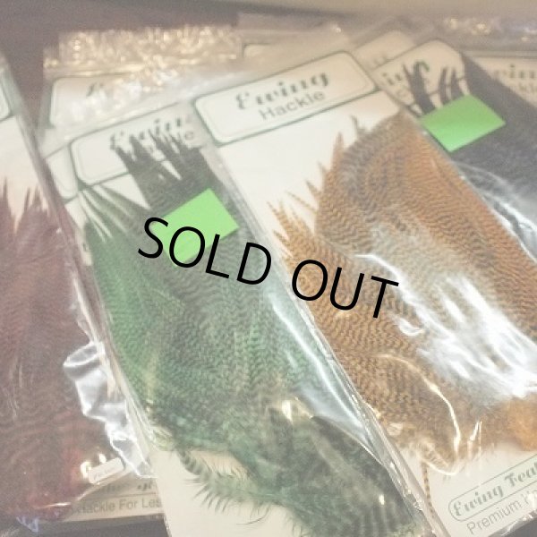 画像1: 【Ewing】 Premium hackle Grizzly Rooster (1)