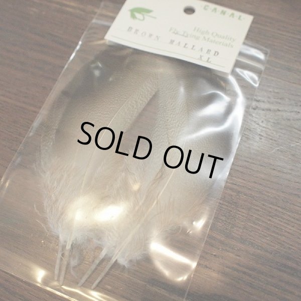 画像1: 【CANAL】BROWN　MALLARD　ＸＬ (1)