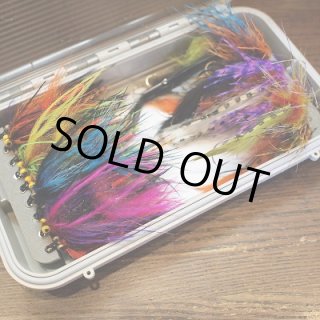 フライマテリアルセット C&F】CF-3299CT マグネティックWPフライケース(L) - DOLLYVARDEN FLY