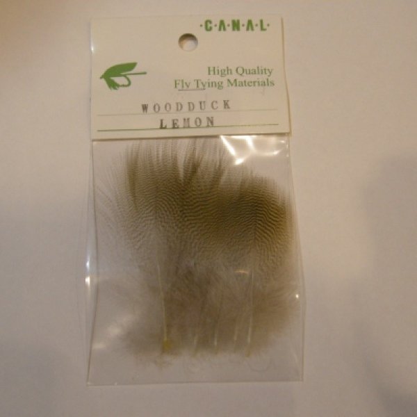 画像1: 【CANAL】 Lemon Wood Duck (1)