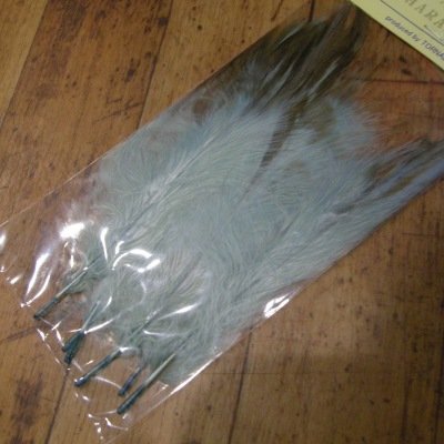 画像3: 【Tornado】 EAGLE MARABOU